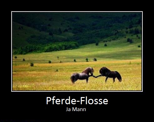 Flugzeugflügel über Wolken